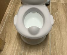 toilet training toilet