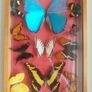 Antique Butterfly Shadowbox Image 3