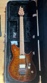 EVH Wolfgang Special (Upgraded)