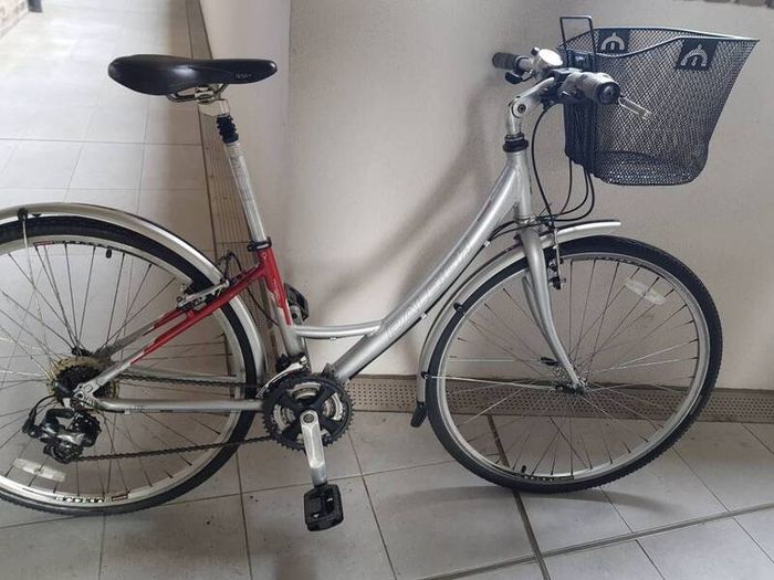 ladies Raleigh city bike ( can deliver)