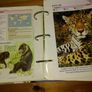Wildlife Fact-File Image 3