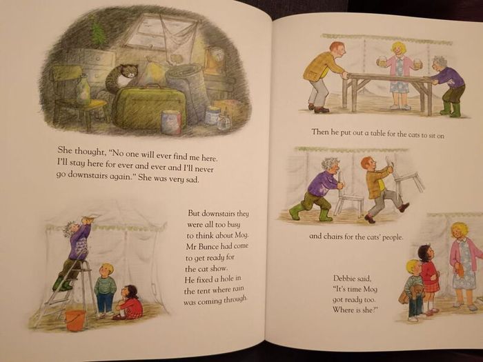 the mog treasury  big picture book like new