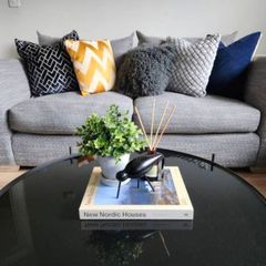 3 Seater and 2 Seater Couch Sofa
