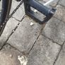 bicycle  cannondale medium size Image 4