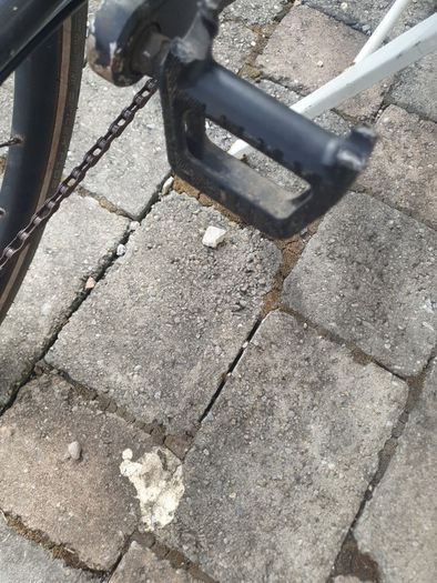 bicycle  cannondale medium size