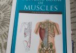The Concise Book of Muscles 4th Edition Chris Jarmey  Anatomy and Physiotherapy