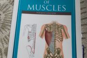 The Concise Book of Muscles 4th Edition Chris Jarmey  Anatomy and Physiotherapy