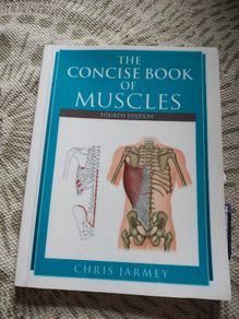The Concise Book of Muscles 4th Edition Chris Jarmey  Anatomy and Physiotherapy