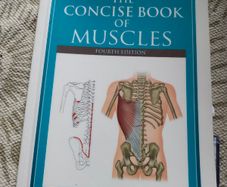The Concise Book of Muscles 4th Edition Chris Jarmey  Anatomy and Physiotherapy