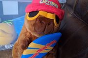 capybara soft toy