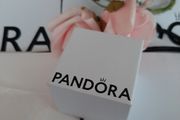 New genuine pandora magnifying dangle charm