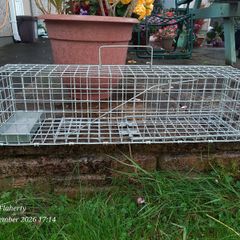Mink trap