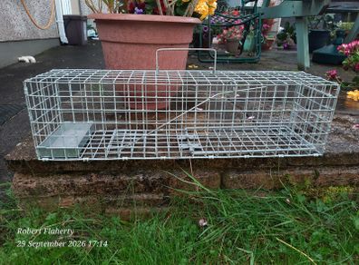 Mink trap