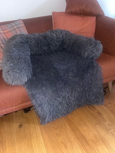 free dog beds