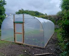 Polytunnels Kenmare