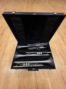 Trumpet case