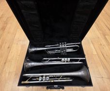 Trumpet case