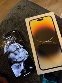 IPhone 14 Pro Max