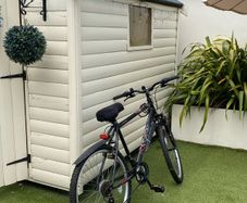 Mens Bicycle