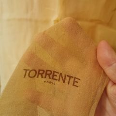 TORRENTE Paris silk scarf