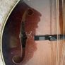 Mandolin Image 2