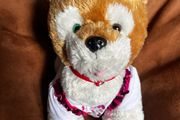 build a bear puppy