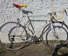 Raleigh Delta