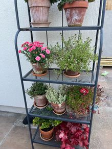 Ikea plant stand