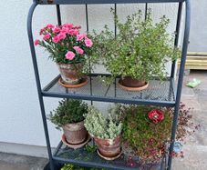 Ikea plant stand