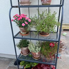 Ikea plant stand