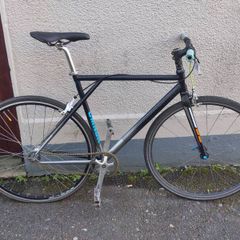 Single Speed / Fixie, Steel Frame