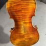 viola Image 2