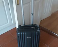 Cabin suitcase