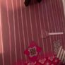 Wooden Dolls House Image 2