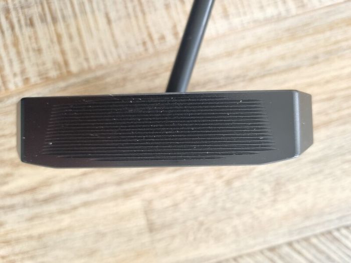 Lab Putter