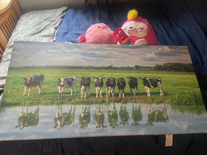 canvas