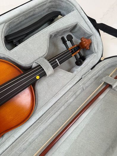 Violin