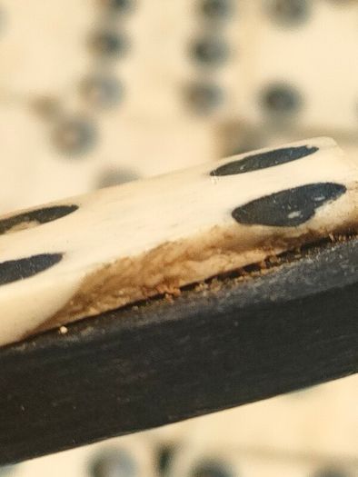 Circa 1900 Bone and Ebonised Domino Set