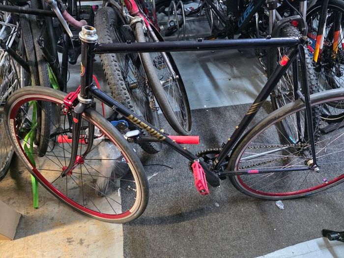 Vintage Nishiki Frame + Sealed Wheels