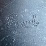 Pearl Cowbell Image 3