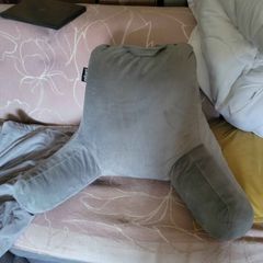 reading pillow