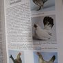 Old Poultry Breeds / Fred Hams / 2000 Image 8