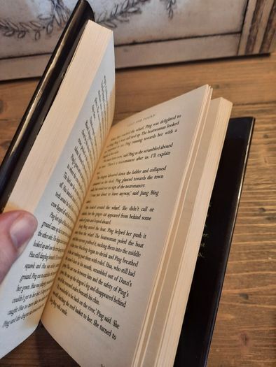 The Dragon Keeper Hardback, Reading Level 7 to 11