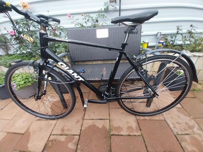 giant  escape hybrid