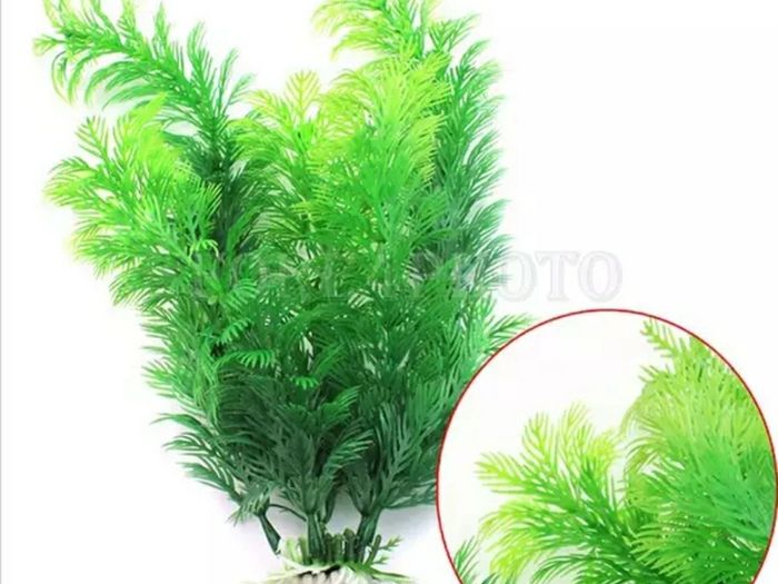 Fish tank Artificial plant