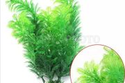 Fish tank Artificial plant