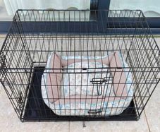 Dog cage and a crate bed