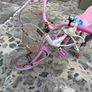 Gilrs bike Image 4