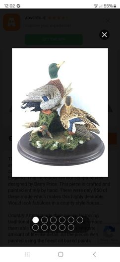 Restful days mallards amazing piece