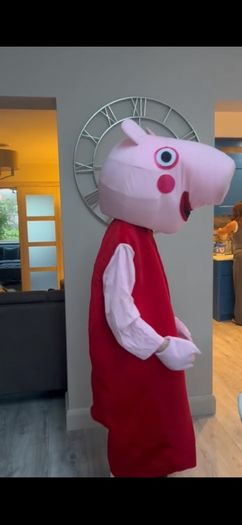Peppa pig costume
